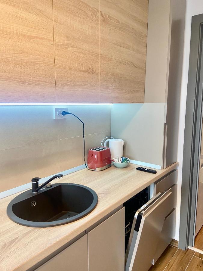 Lazar Loft Lejlighed Iasi Eksteriør billede